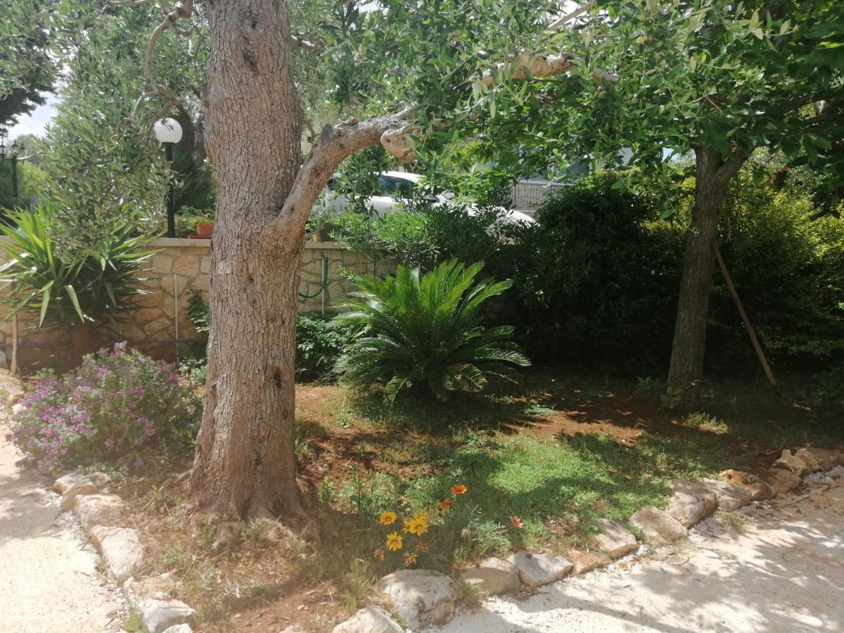 B & B La Mansarda Monopoli Ngoại thất bức ảnh